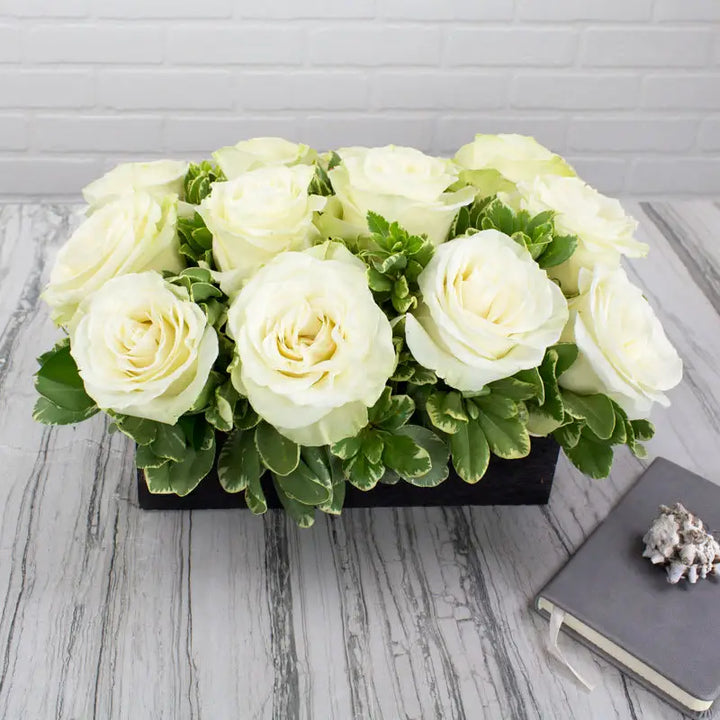 Elegance In A Box - LA Orchidia