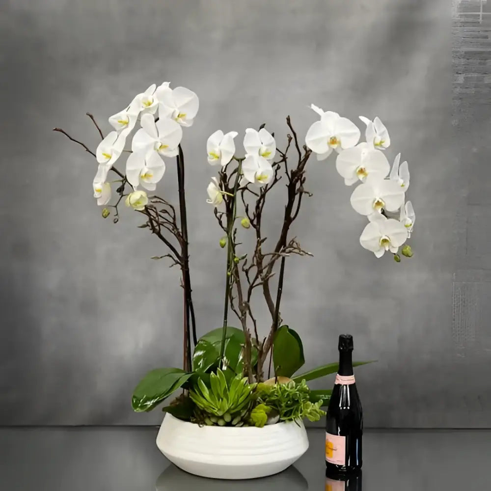 Elegant White Orchid Bowl - LA Orchidia