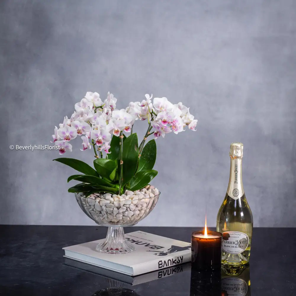 Enchanted Quartz White Mini Orchids