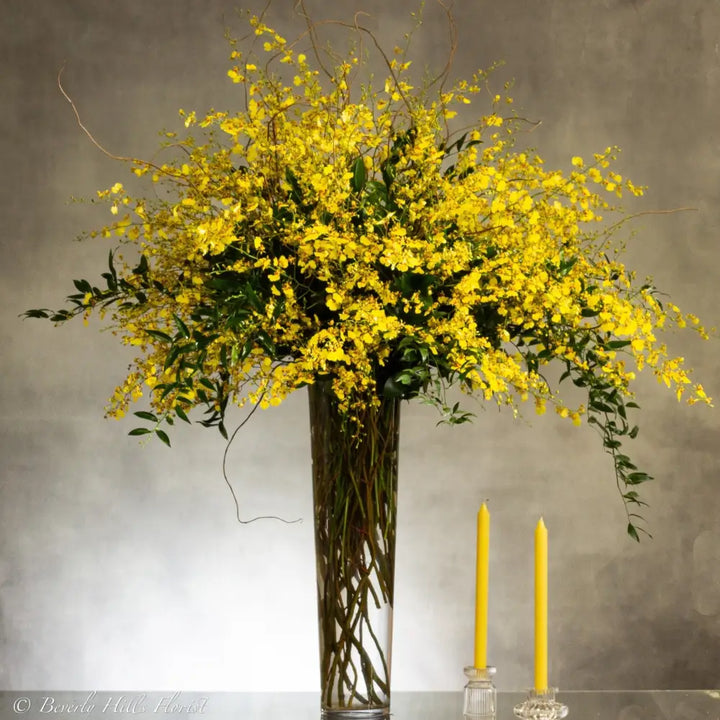 Enchanting Oncidium Orchids - LA Orchidia