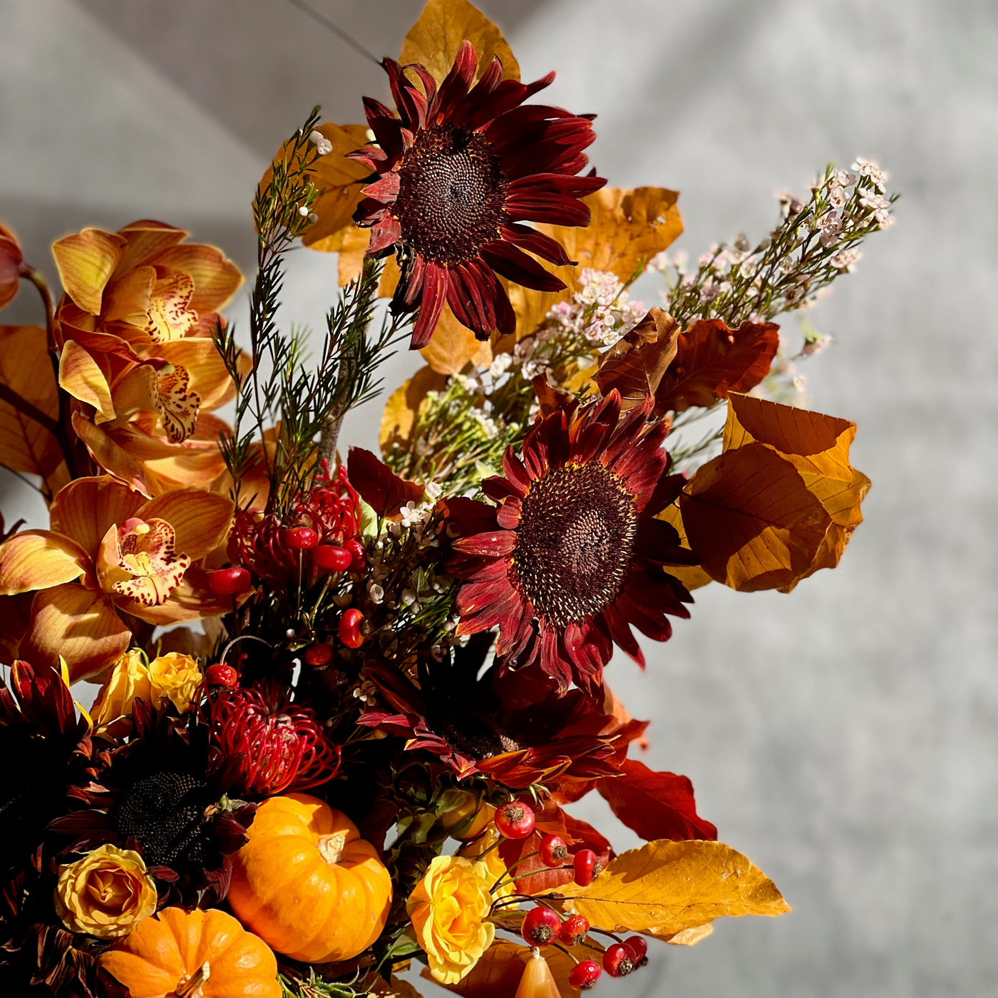 Elegant fall floral arrangement with Dutch Orchids, Black Sunflowers, berries, branches, fall foliage, mini pumpkins, and locally grown flowers in a marble gold container.