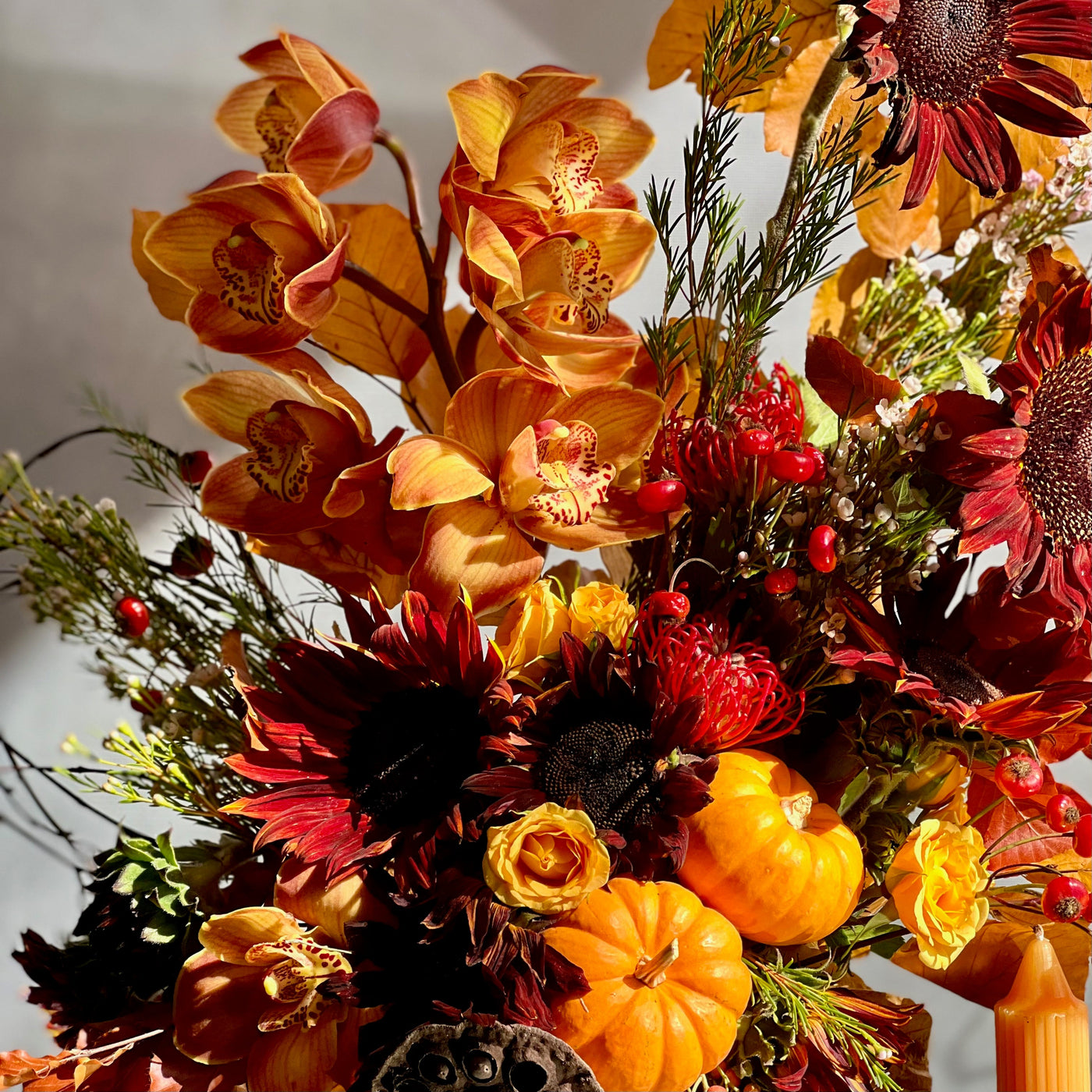 Elegant fall floral arrangement with Dutch Orchids, Black Sunflowers, berries, branches, fall foliage, mini pumpkins, and locally grown flowers in a marble gold container.