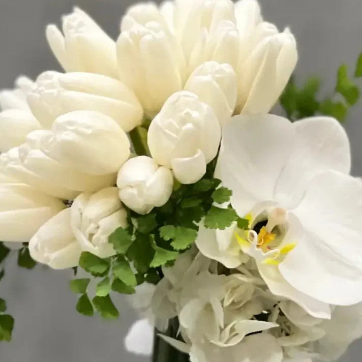 Free-Form Tulips - LA Orchidia