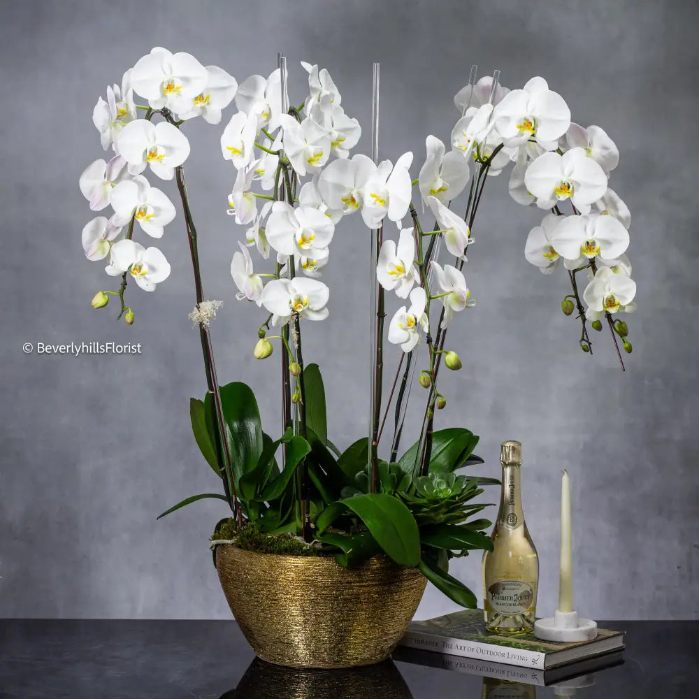 Golden Elegance - Santa Monica Florist
