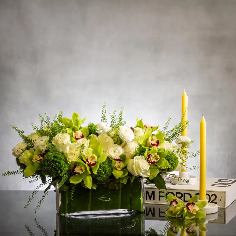 Green and White Goddess - LA Orchidia