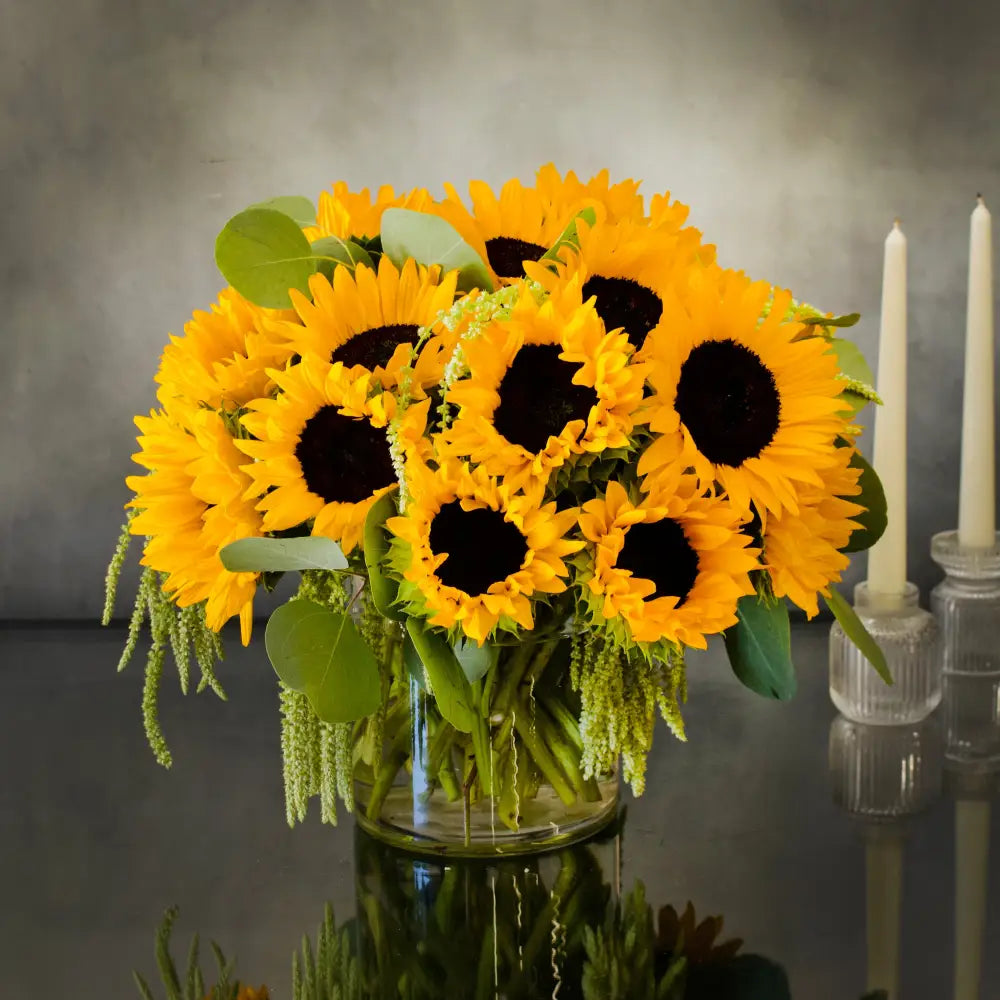 Here Comes The Sun