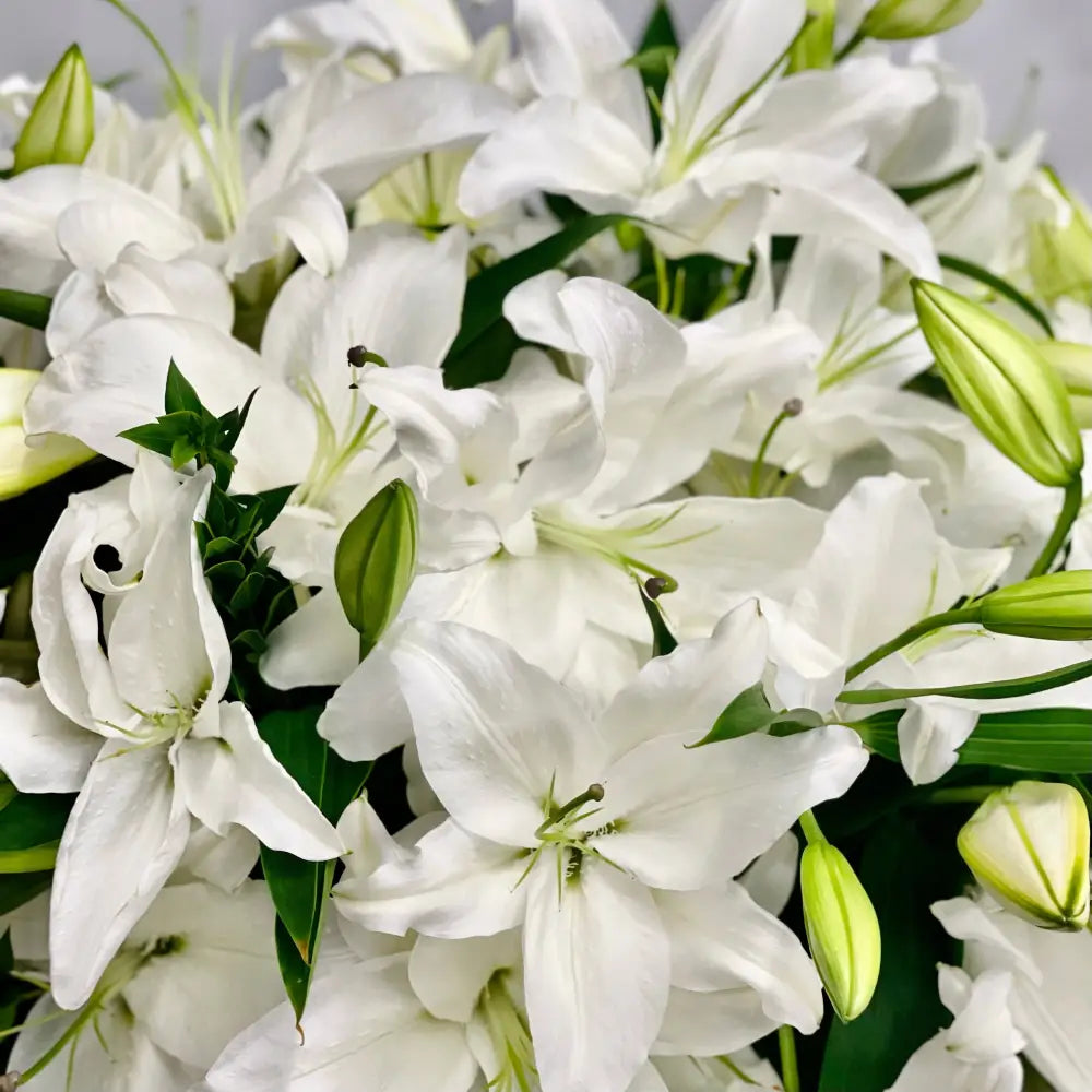 Tall long stem Casablanca lilies arranged in a glass vase with same-day delivery in Los Angeles