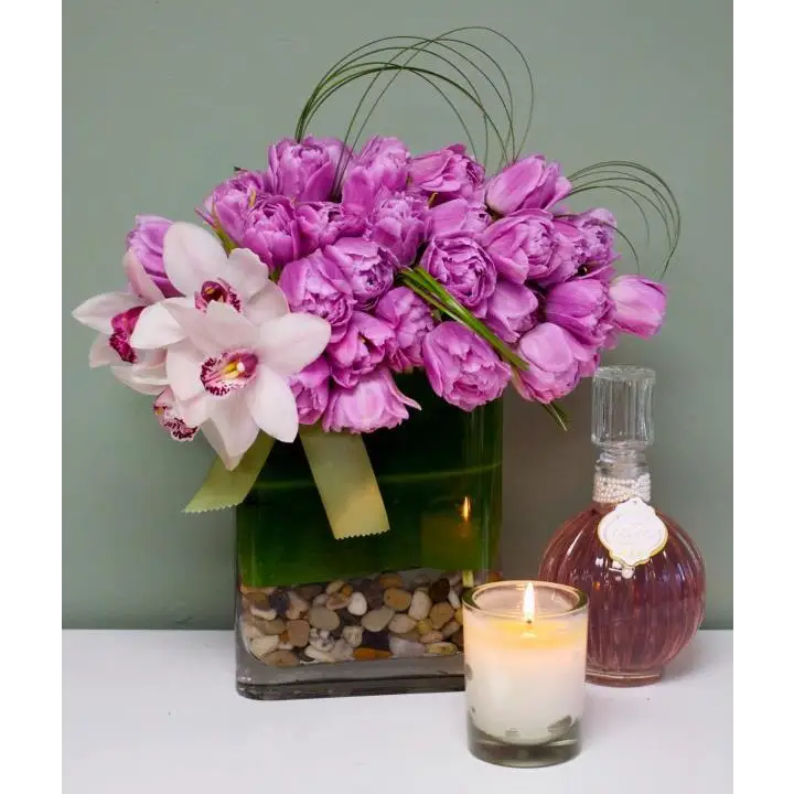 Loving Embrace - LA Orchidia