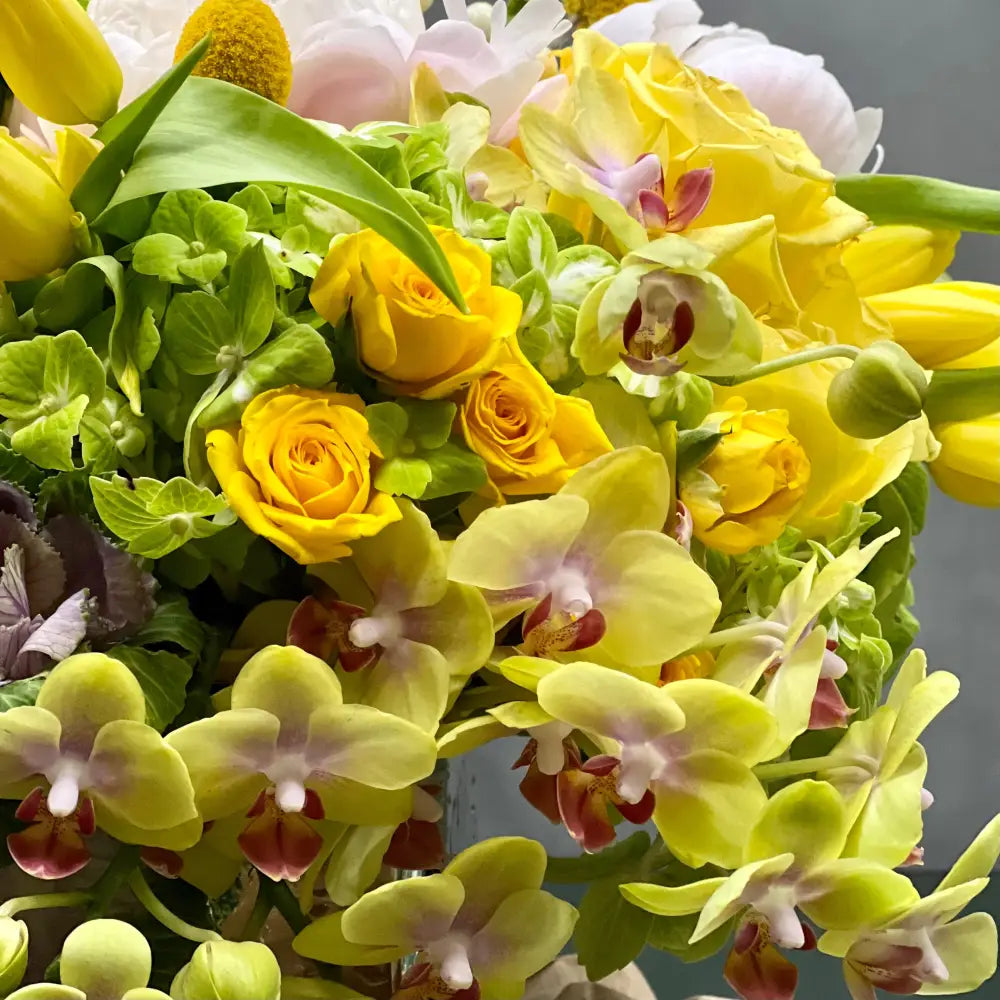 Mellow Yellow - Designers choice - LA Orchidia
