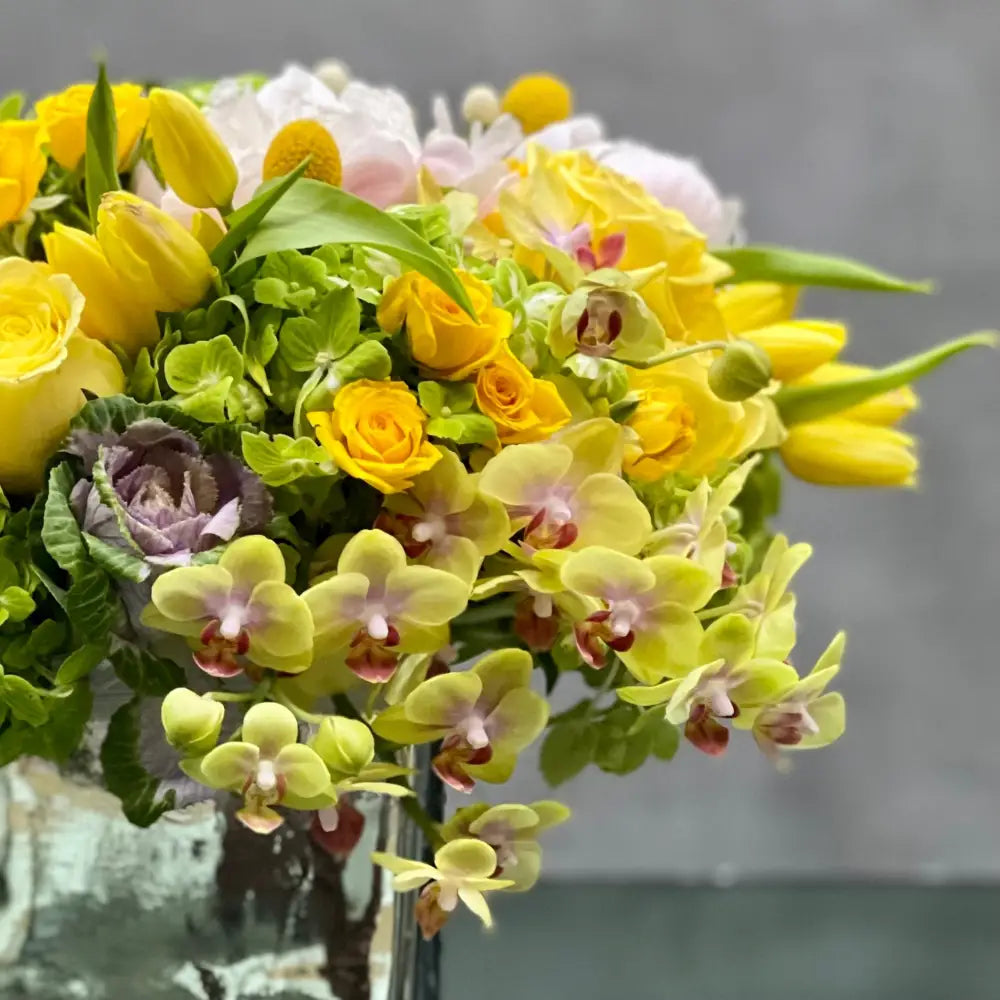 Mellow Yellow - Designers choice - LA Orchidia