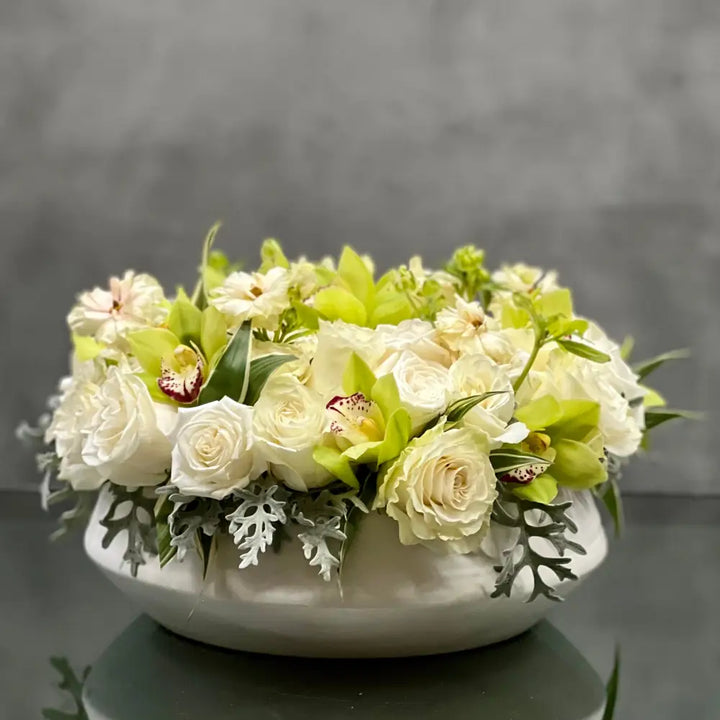 Mint Julep - LA Orchidia