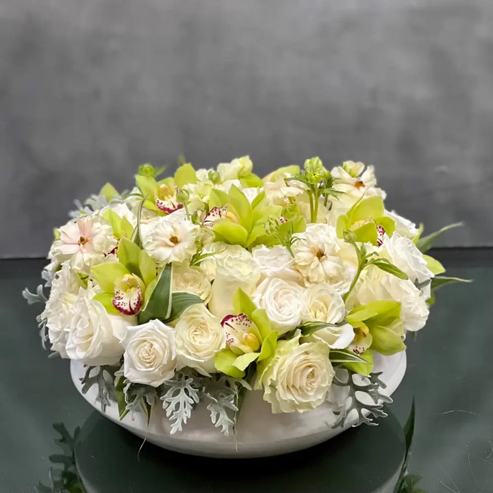Mint Julep - LA Orchidia