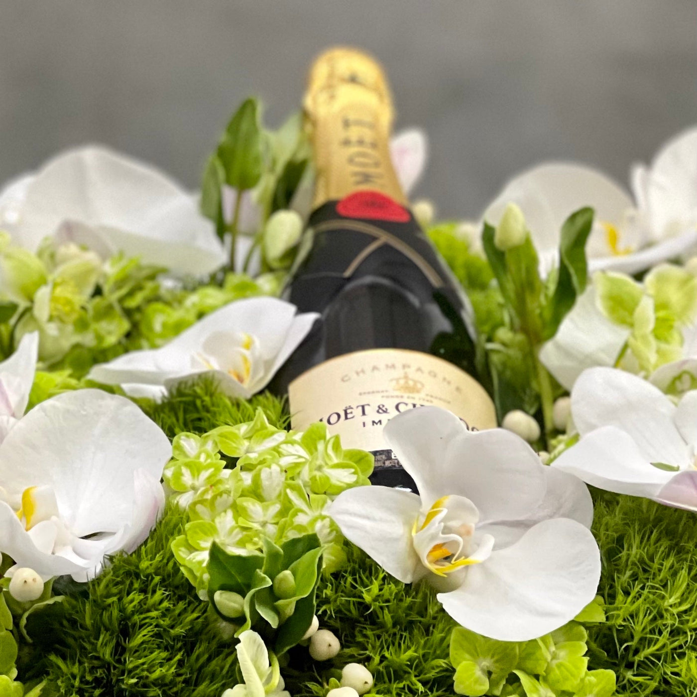 Santa Monica Florist presents this luxury Moet floral box with orchids and other locally sourced flowers. 24 inch square box