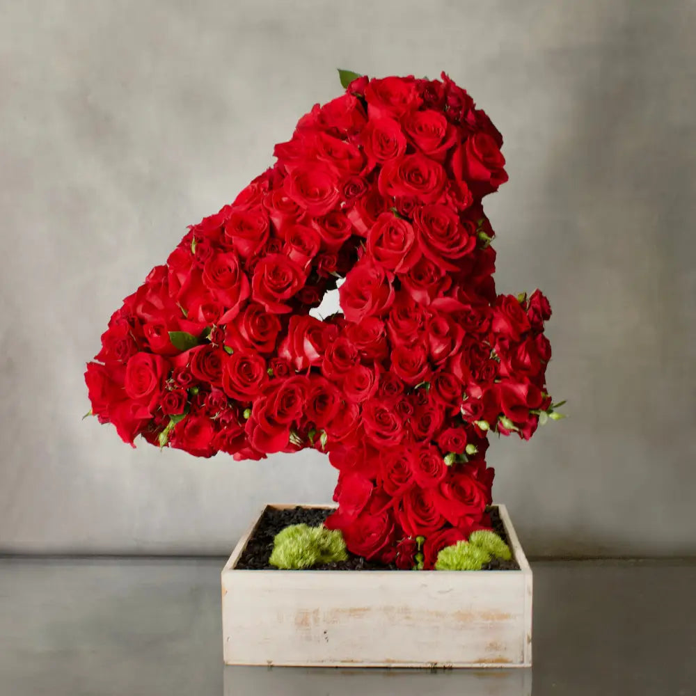 Numbers of Love - Santa Monica Florist