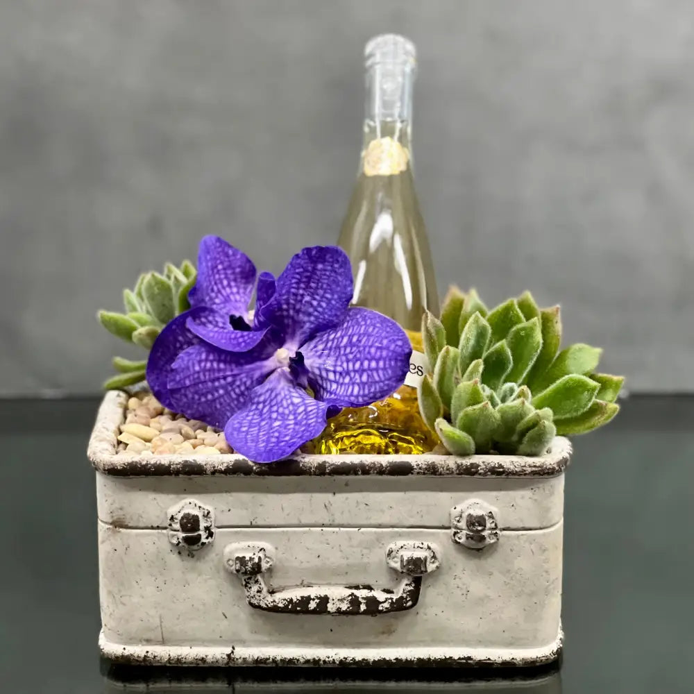 LA Orchidia presents One for the Road for same day delivery. This is the perfect arrangement for congratulation flowers, get well flowers, Welcome home flowers. Includes, Vanda Orchid, Bottle of Champagne  placed in a suitcase planter !