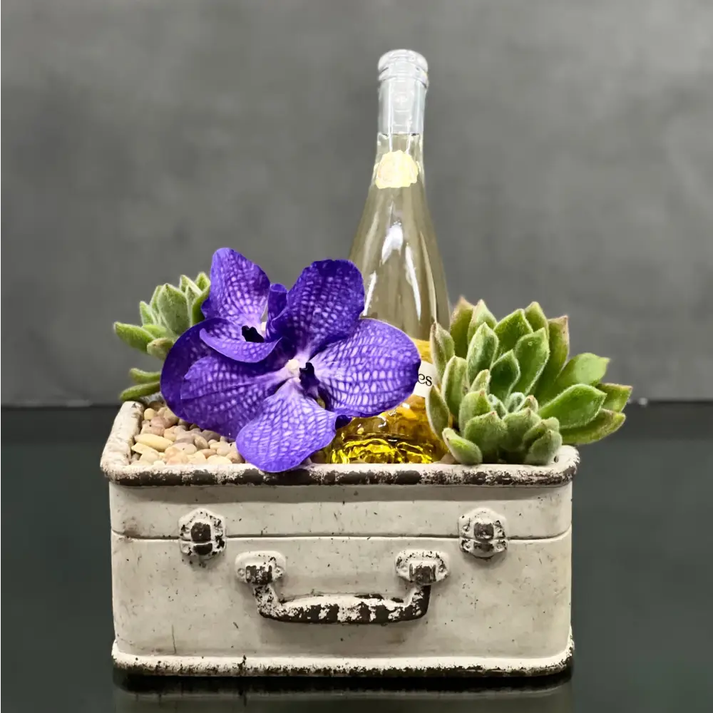 One for the Road - LA Orchidia