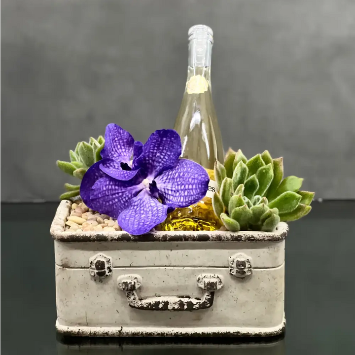 One for the Road - LA Orchidia