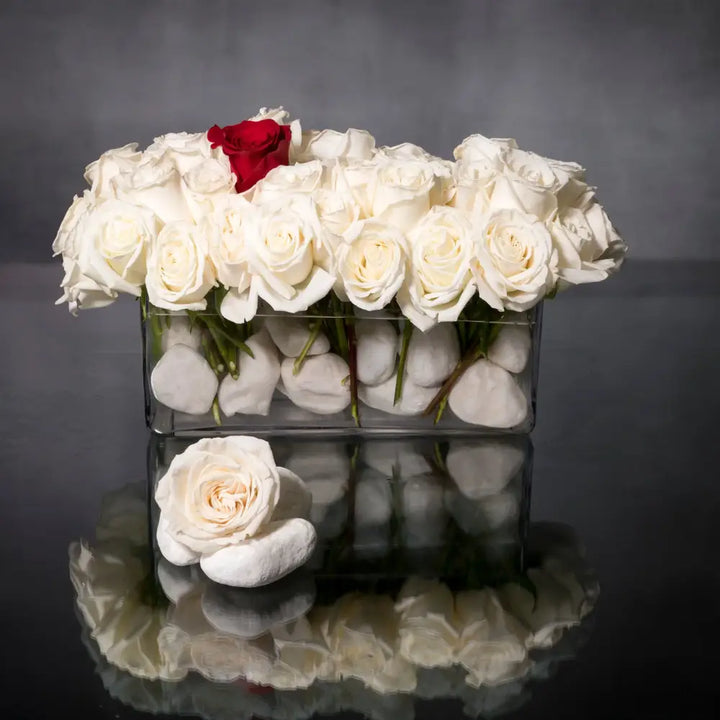 Valentines - One of a Kind - LA Orchidia