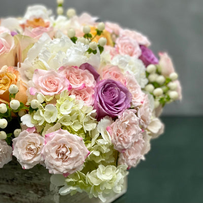 Pastel Perfection floral arrangement with soft pastel roses, Dutch hydrangeas, and seasonal flowers in a box base tied with a cream bow, available for same-day delivery