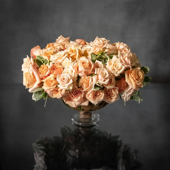 Peaches and Cream - LA Orchidia