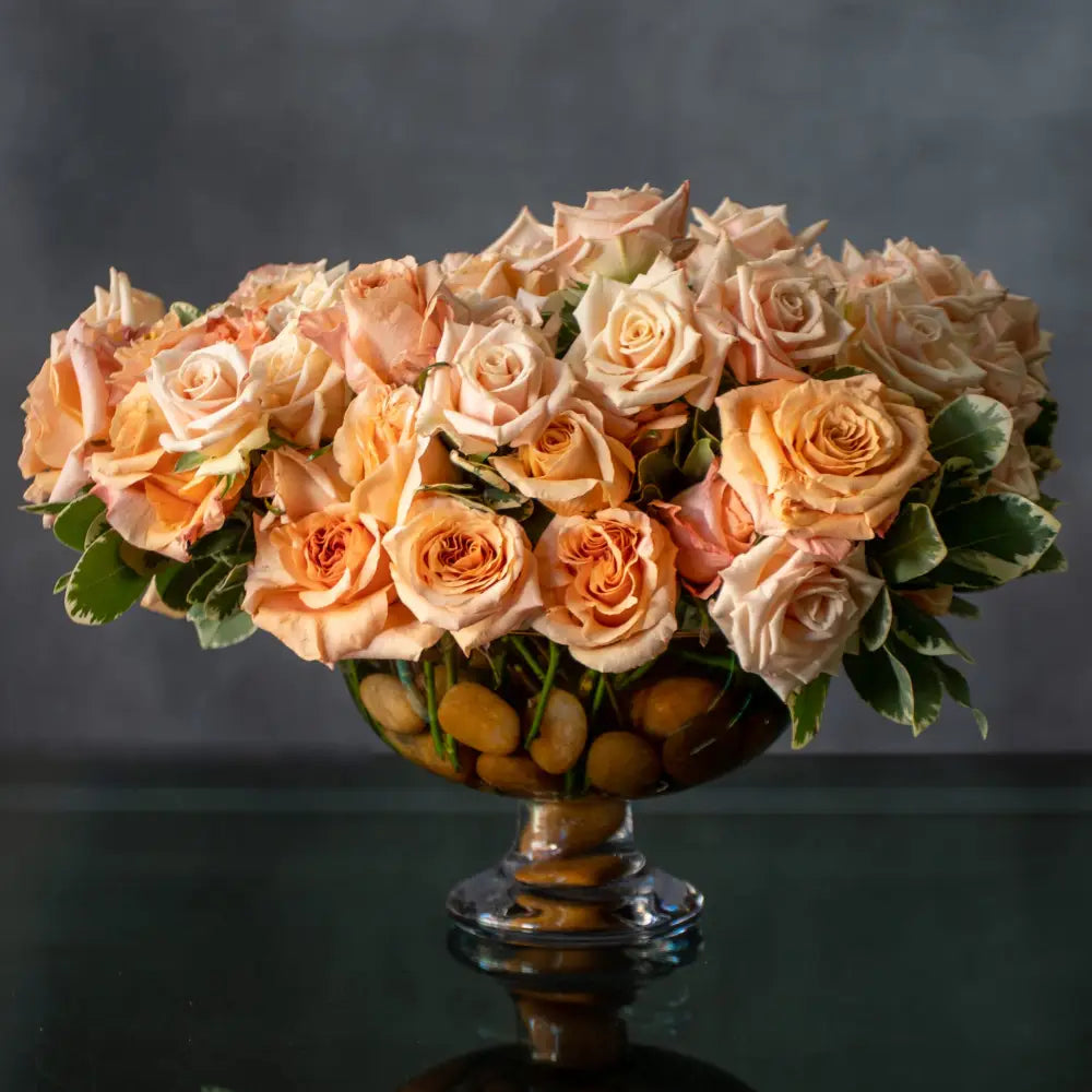 Peaches and Cream - LA Orchidia