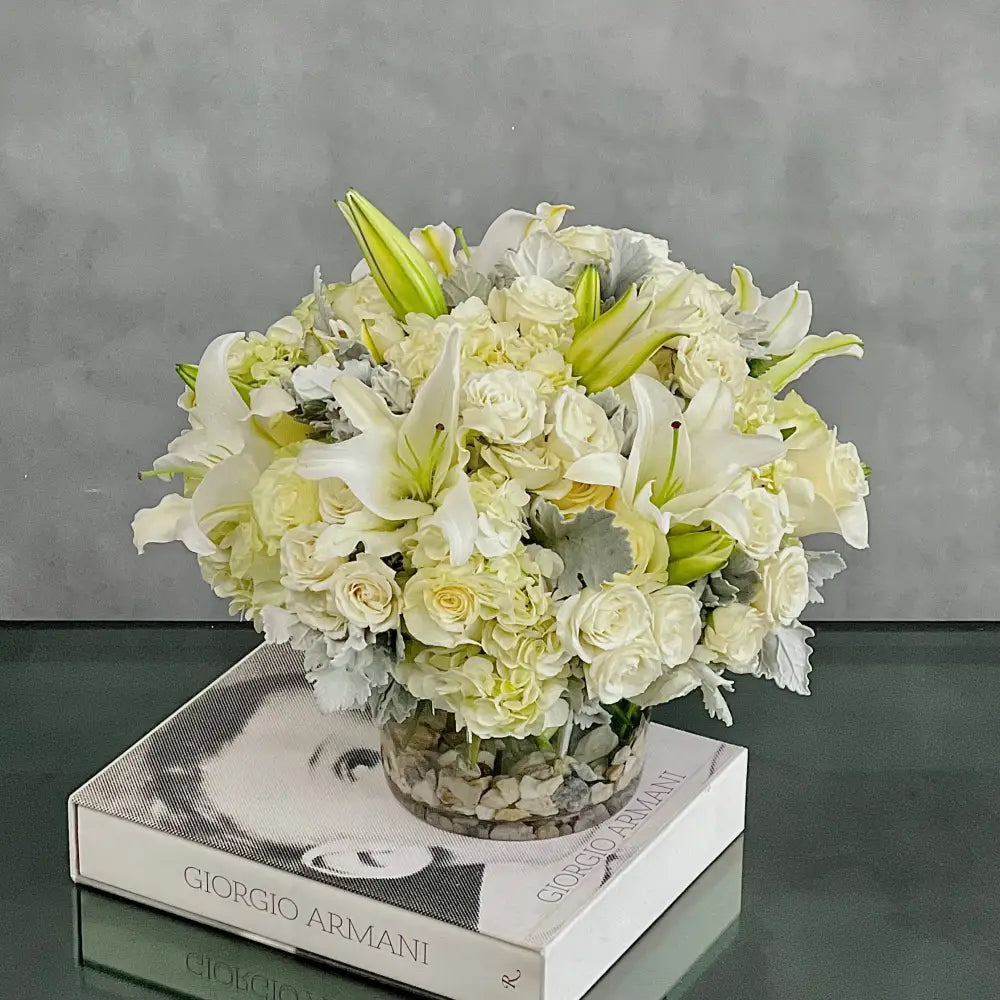 Pearly Whites - LA Orchidia