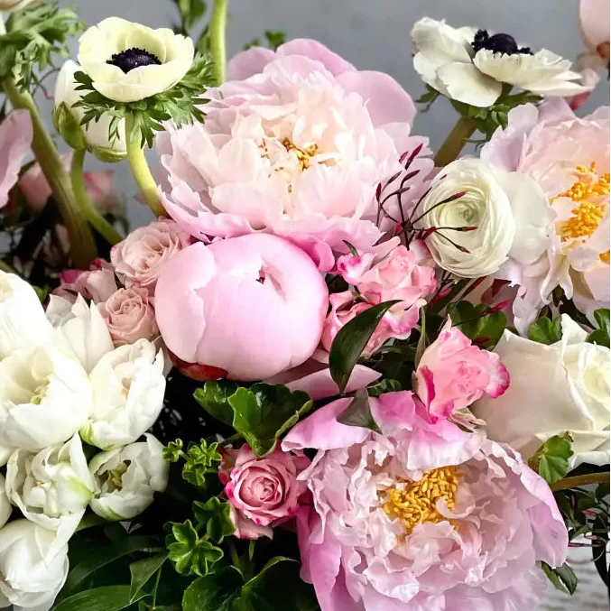 Pink Rhapsody - LA Orchidia