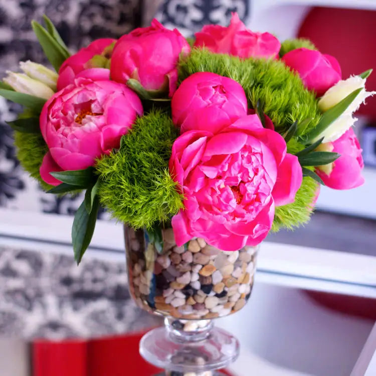 Positively Pink - LA Orchidia