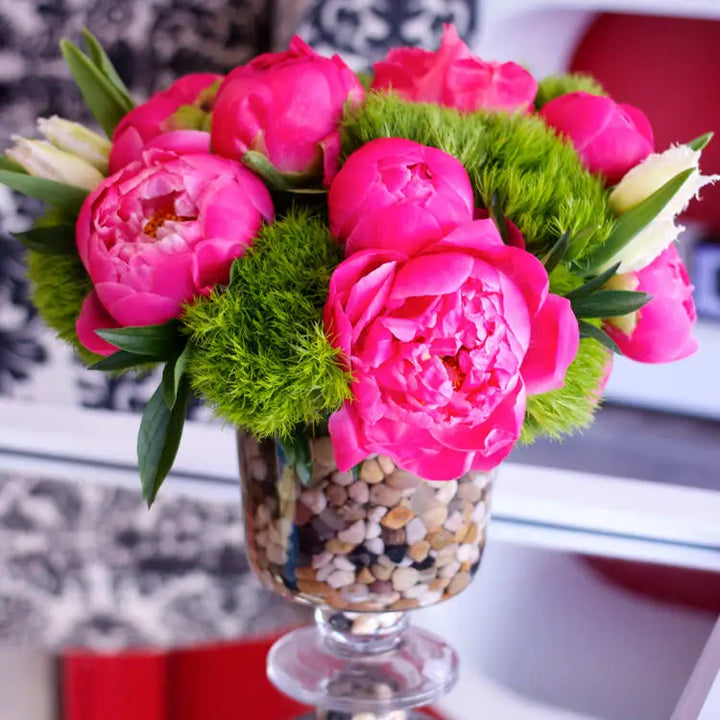 Positively Pink - LA Orchidia