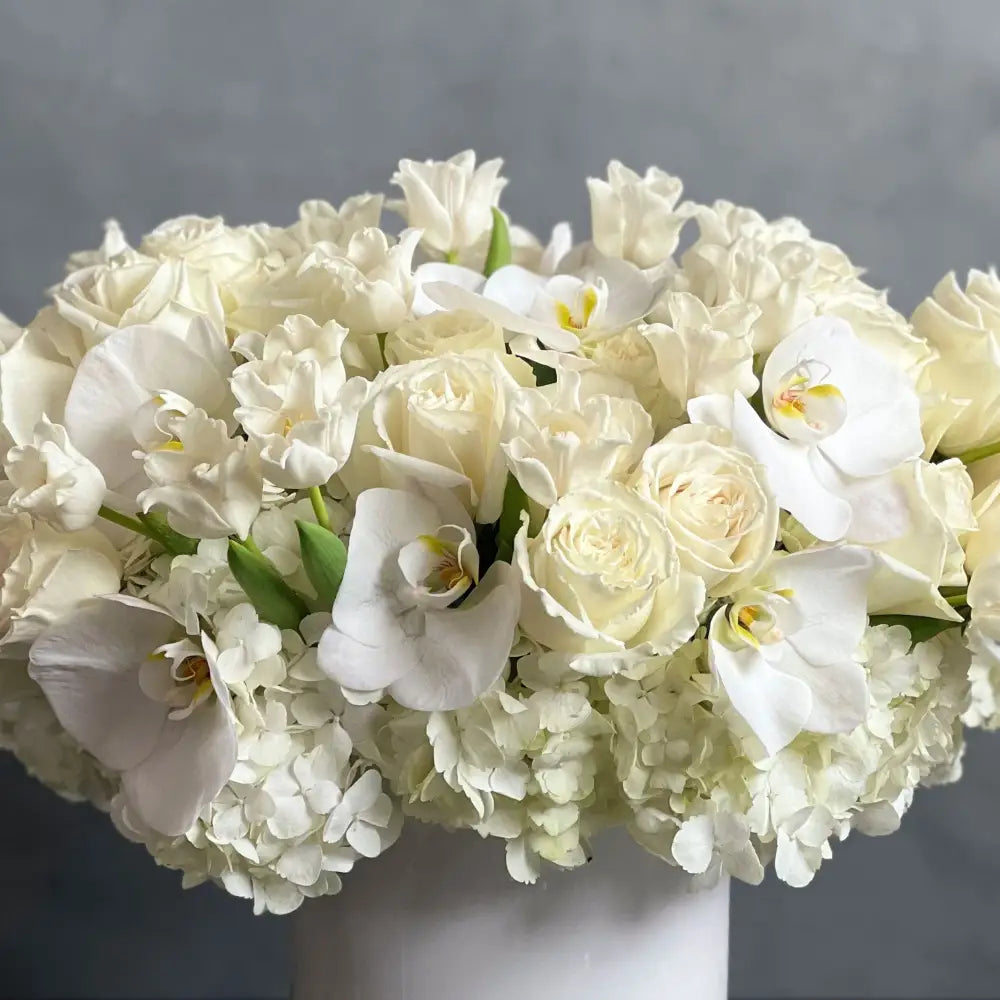Pearl Elegance - Designer's Choice - LA Orchidia