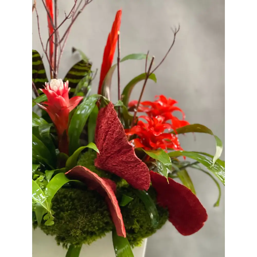 Red Bromeliads Fantasy alt 3