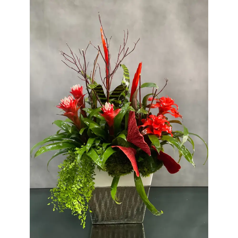 Red Bromeliads Fantasy alt 2
