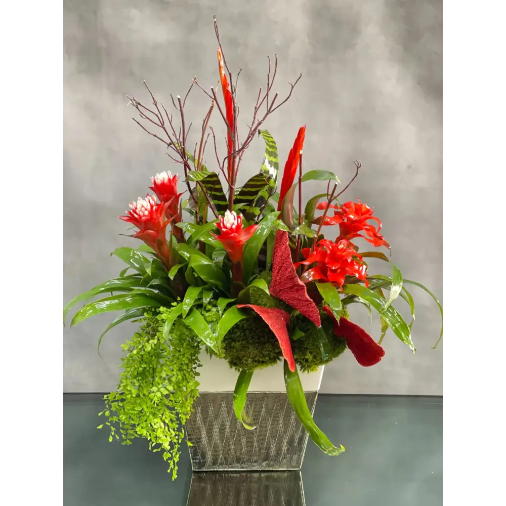 Red Bromeliads Fantasy