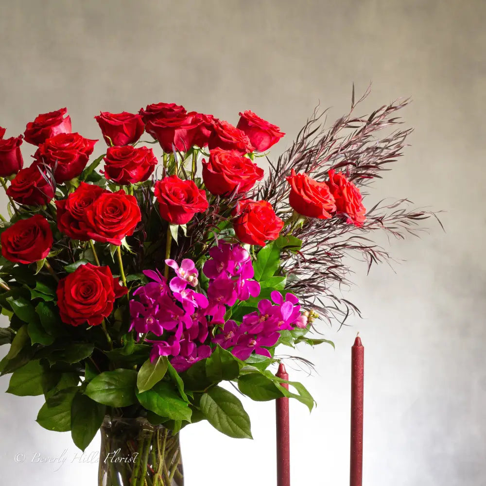 Red Velvet - LA Orchidia