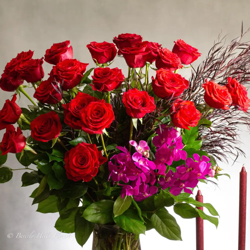 Red Velvet - LA Orchidia