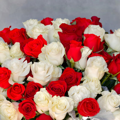 Red & White Checker Roses - santamonicaflorist