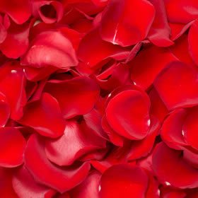 Santa Monica Florist presents same day delivery for our rose petals ! One gallon bag of Rose Petals. Choice of Red, White or Pink. Please state what color of petals at checkout.