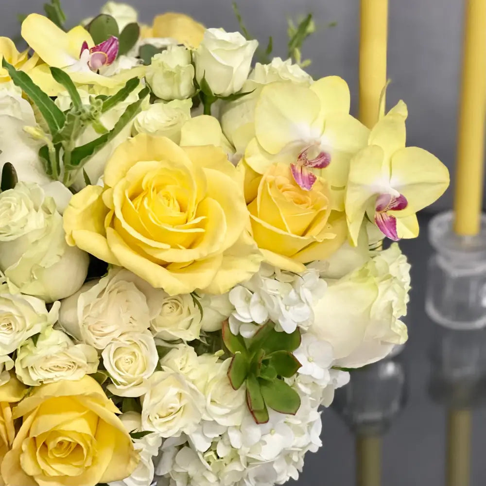 Serenade in yellow and white - LA Orchidia