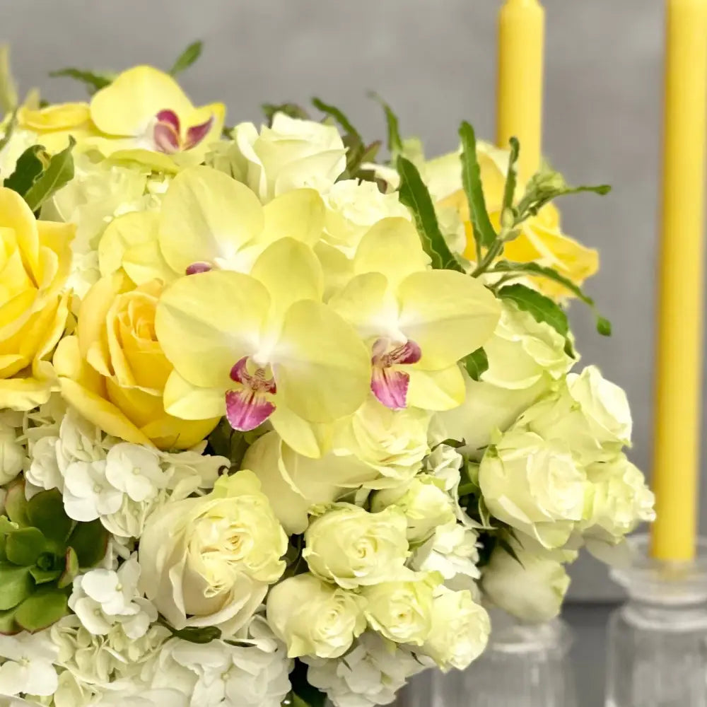 Serenade in yellow and white - LA Orchidia