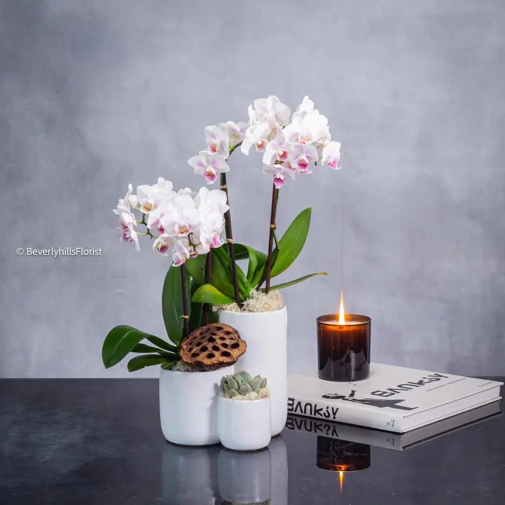 Step by Step orchid arrangement