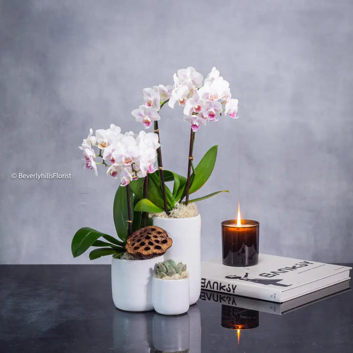 Step by Step orchid arrangement