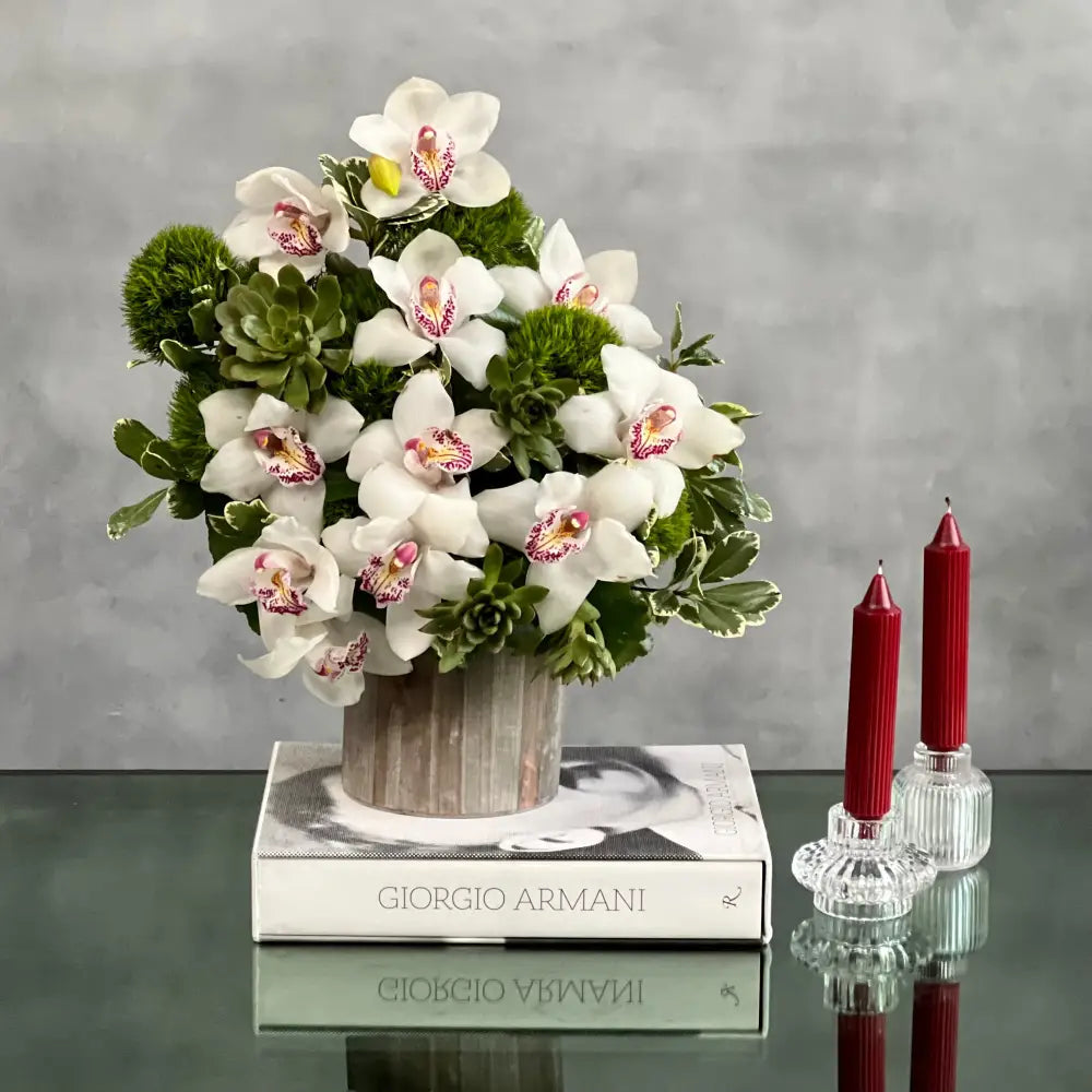 Succulent Sensations - LA Orchidia