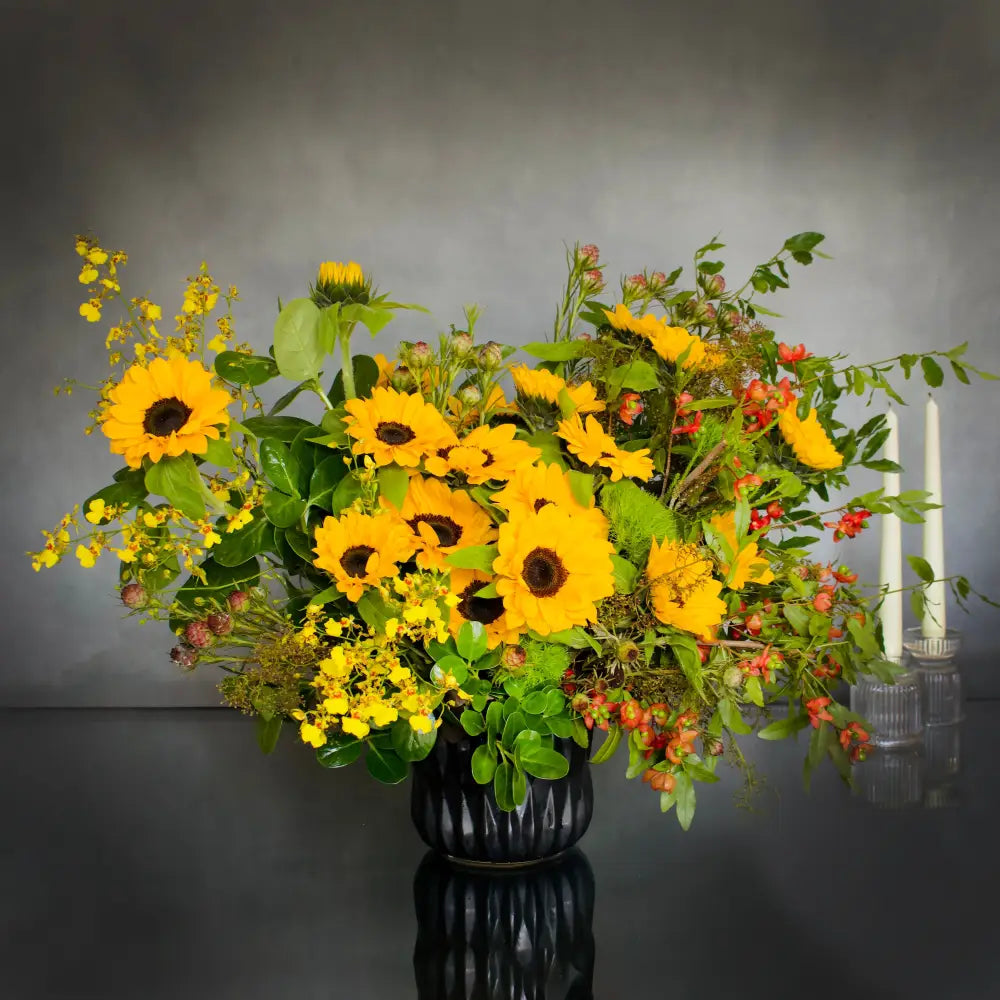 Sunny Sideup - LA Orchidia