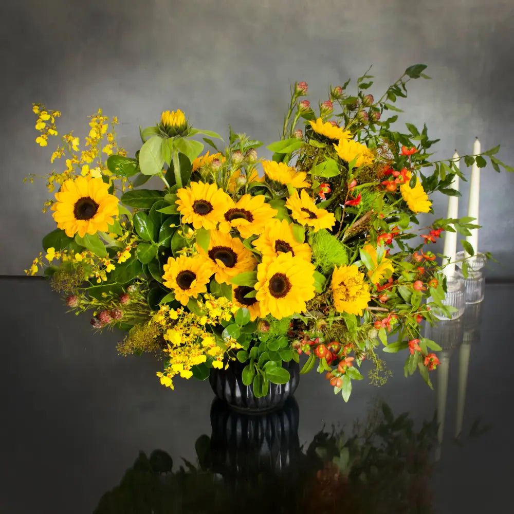 Sunny Sideup - LA Orchidia