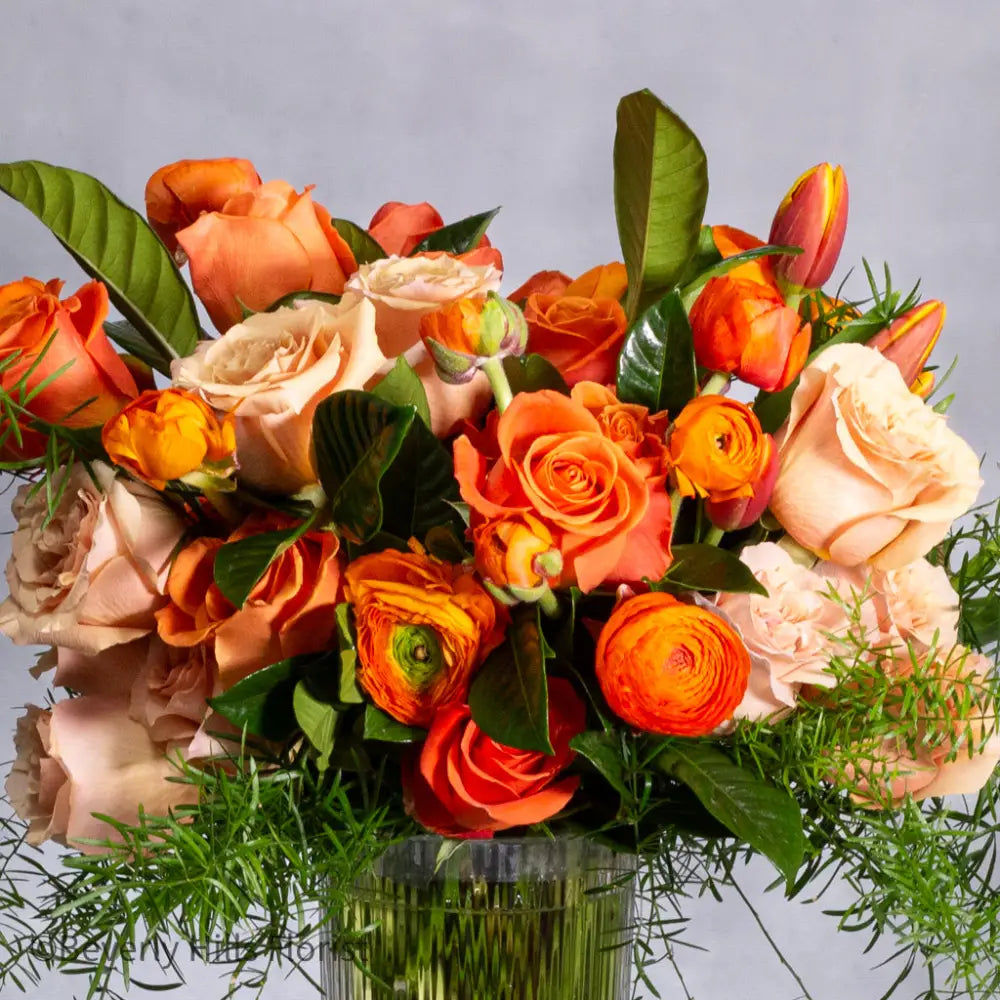 Tangerine Tango - LA Orchidia