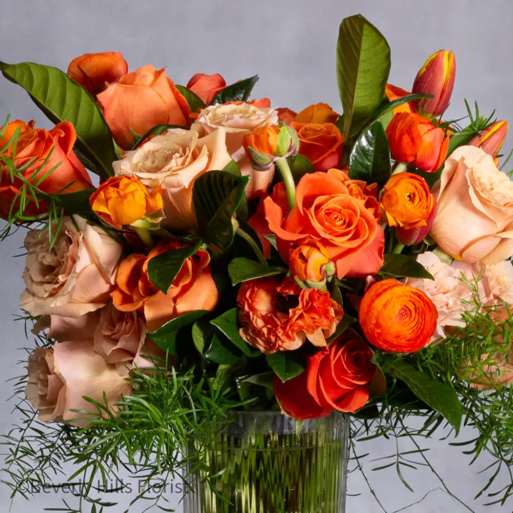 Tangerine Tango - LA Orchidia
