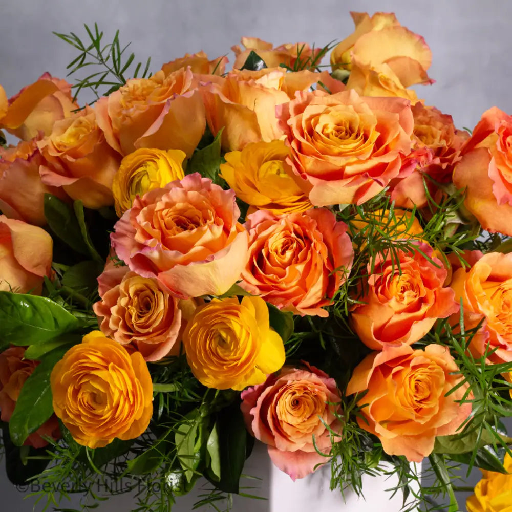 The Tale of Orange Roses - LA Orchidia