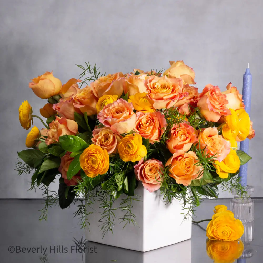The Tale of Orange Roses full bloom