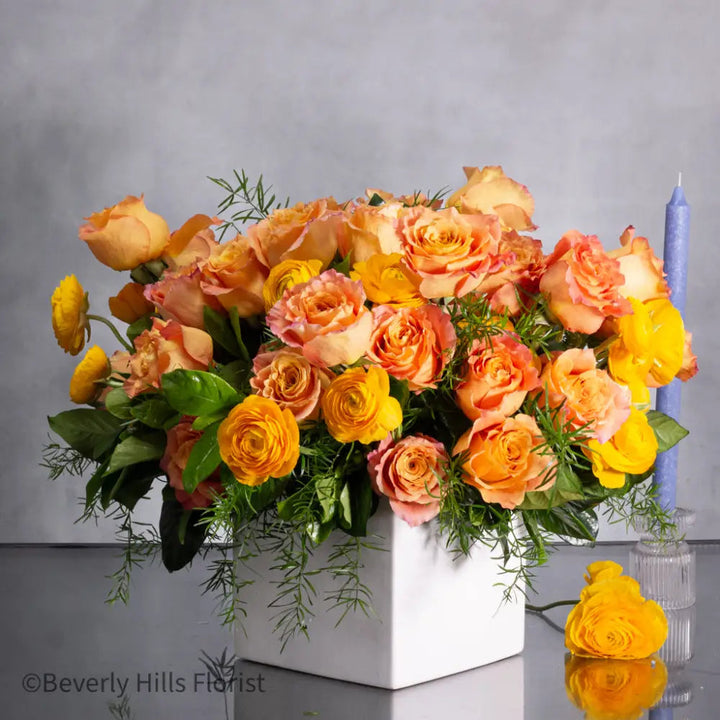 The Tale of Orange Roses full bloom