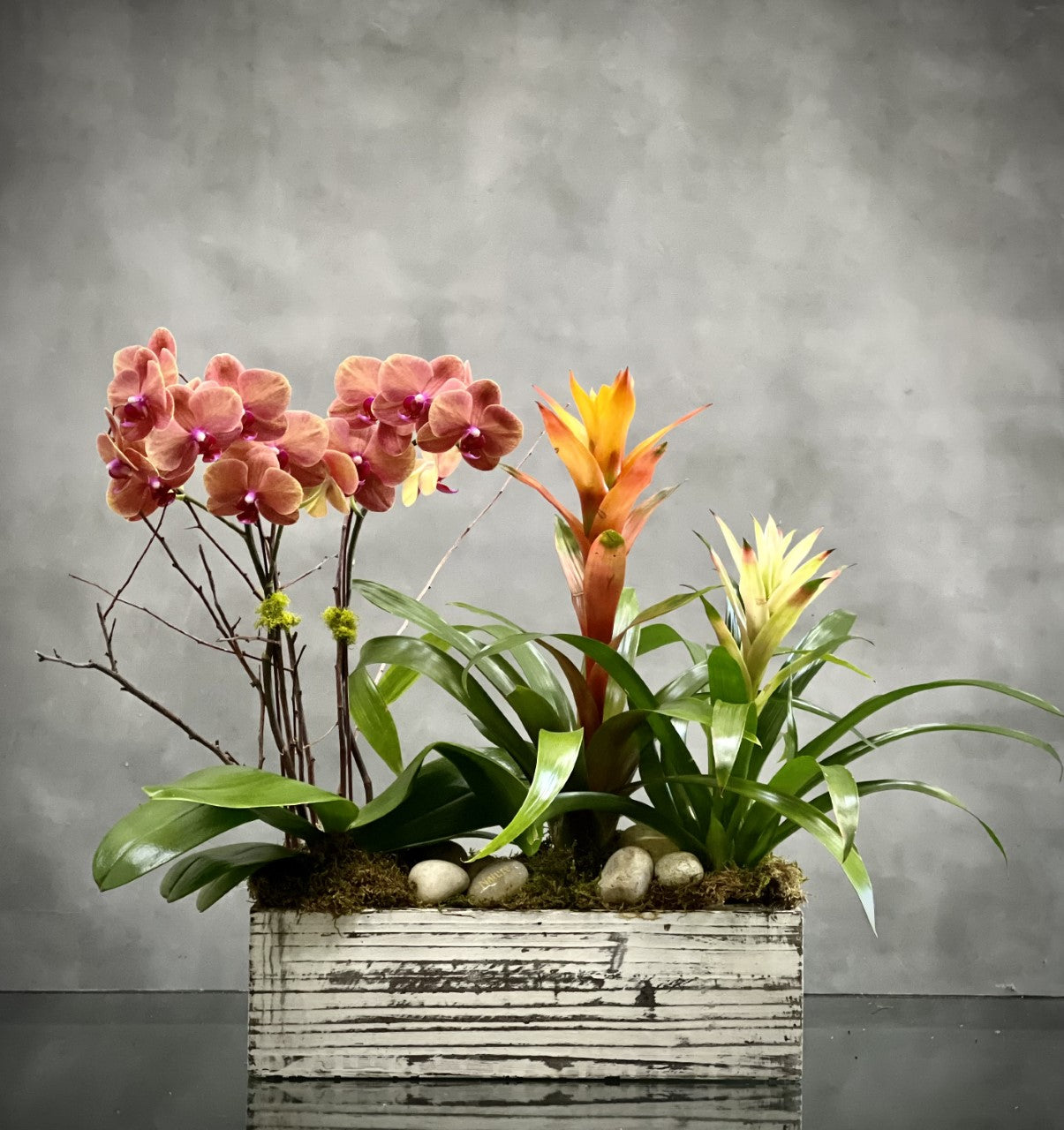 A superb design in so many ways Santa Monica Florist presents Tropical punch for same day delivery .... This unique floral piece is a stunning mix of mini orchids and bromelia plants in a wooden box filled with rocks. a "nature" engraved rock is included with the arrangement. Delicate and eye catching for Birthdays, Get well soon, office décor and more.  Approx: 12 H x 21" W . Please pick the wording you like for the arrangement and let us know under florist note.